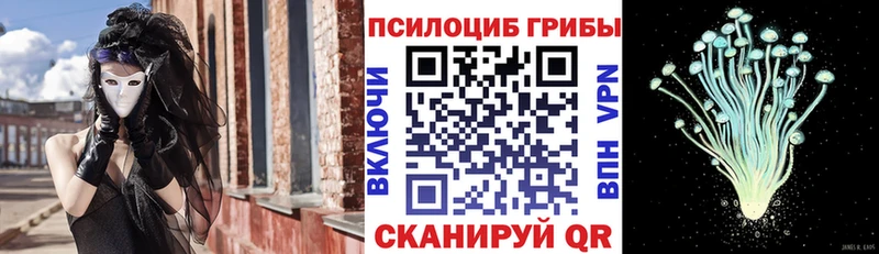 Галлюциногенные грибы мухоморы Георгиевск
